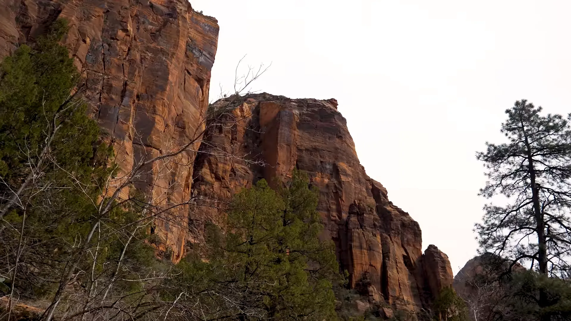 Fun Facts About Zion National Park for Kids