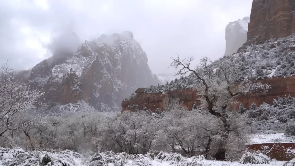snowfall in zion national park