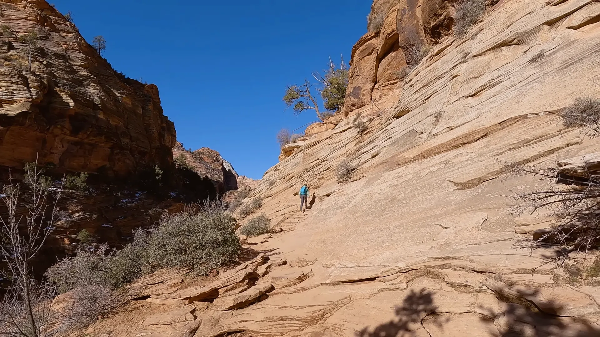 Things to Do in Zion National Park with Kids