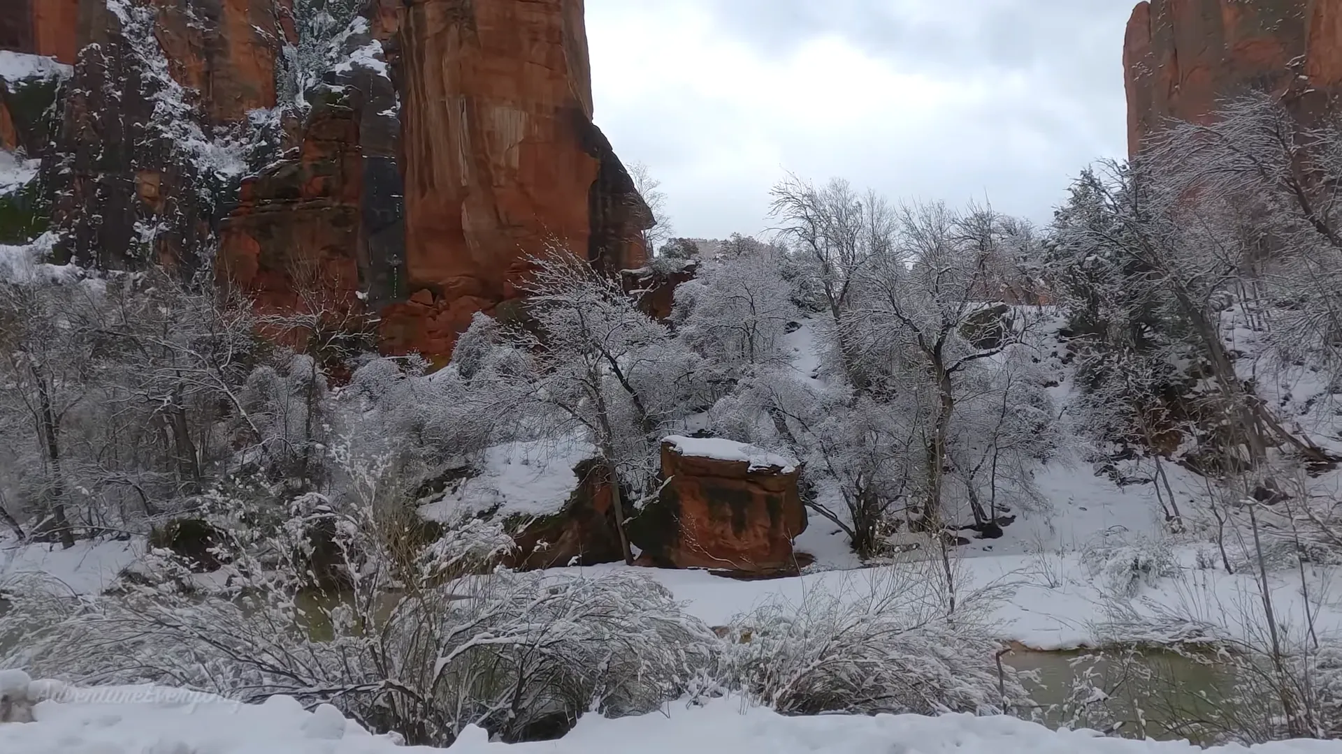 Things to Do in Zion National Park in February