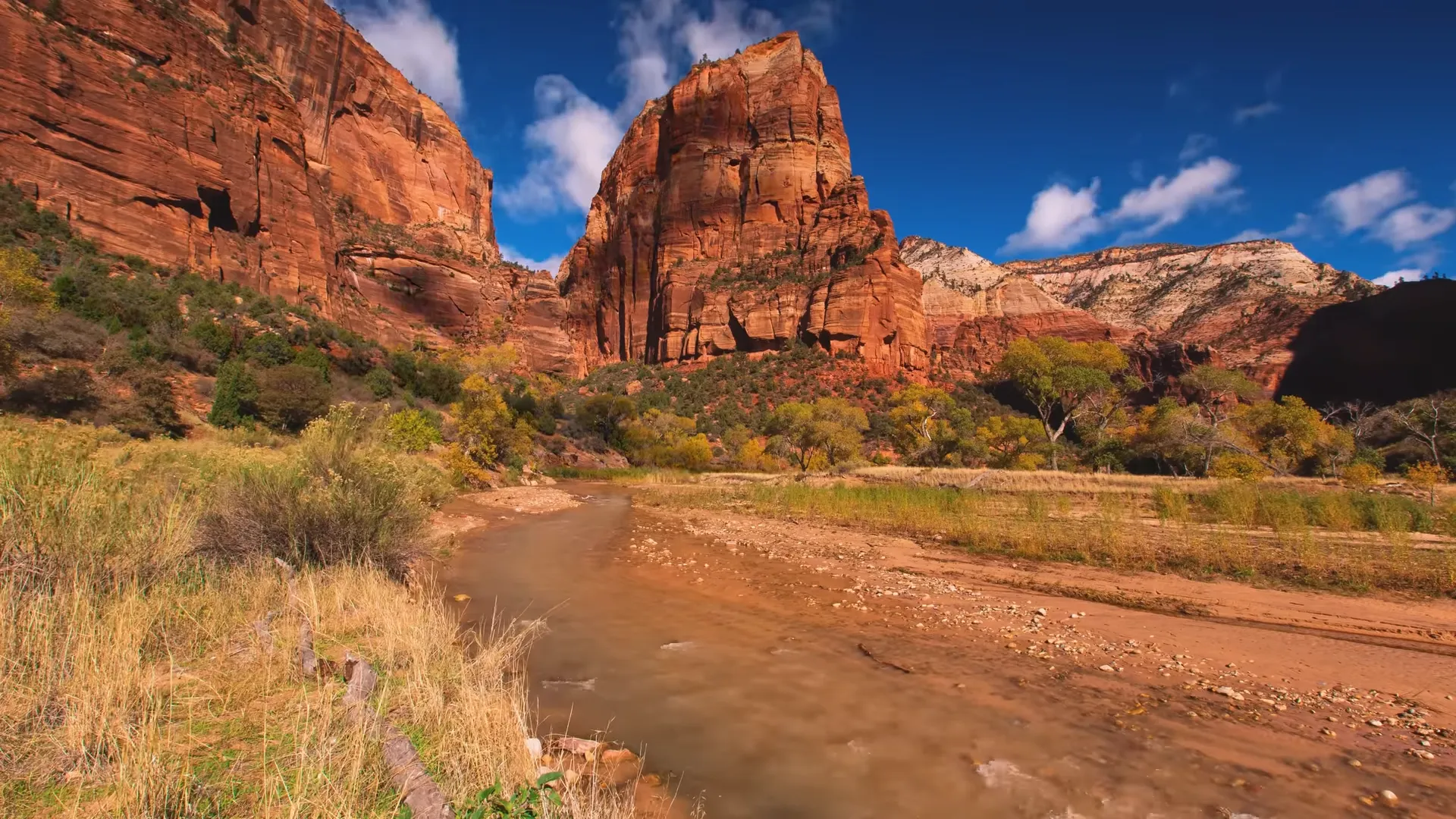 What to See in Zion National Park by Car